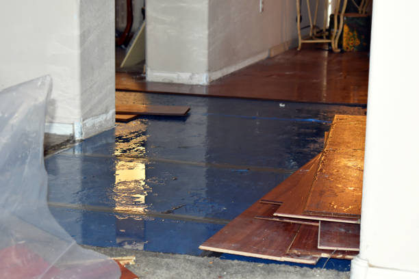 Professional Water Damage Restoration technician working in Wallsburg, UT